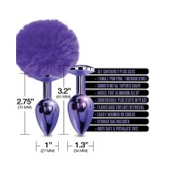 Nixie Metal Butt Plug Set - Purple Metallic for Exploration