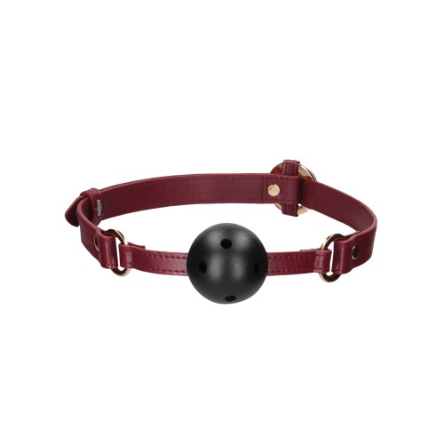 Shots Ouch Halo Breathable Ball Gag for BDSM Play