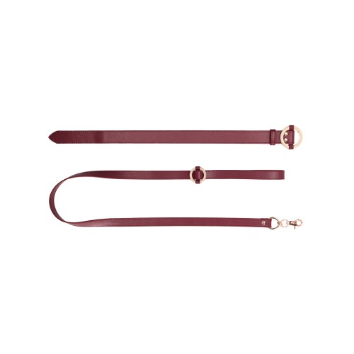 Shots Ouch Halo Collar with Leash - Burgundy