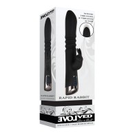 Buy Evolved Rapid Rabbit Thrusting Dual Vibe - Black