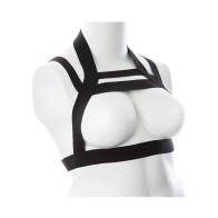 Gender Fluid Majesty Harness - S-L Black