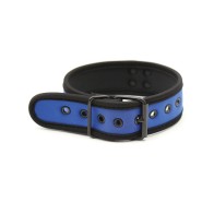 Plesur Blue Neoprene Puppy Collar