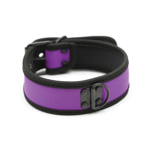 Purple Neoprene Puppy Collar for Stylish Pets