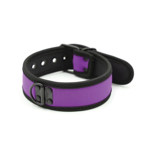 Purple Neoprene Puppy Collar for Stylish Pets