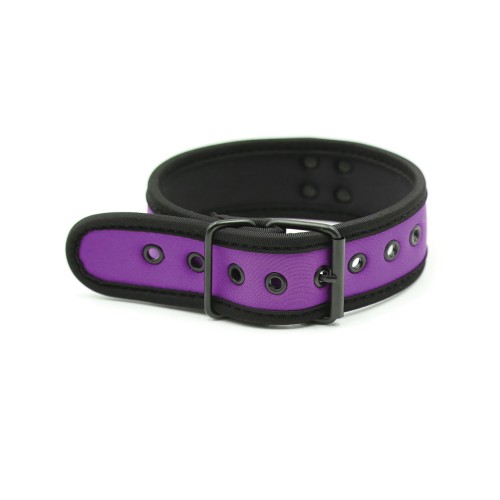 Purple Neoprene Puppy Collar for Stylish Pets