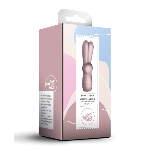 Vibrating SugarBoo Bunnie Toy