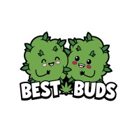 Pin de Enamel Wood Rocket Best Buds