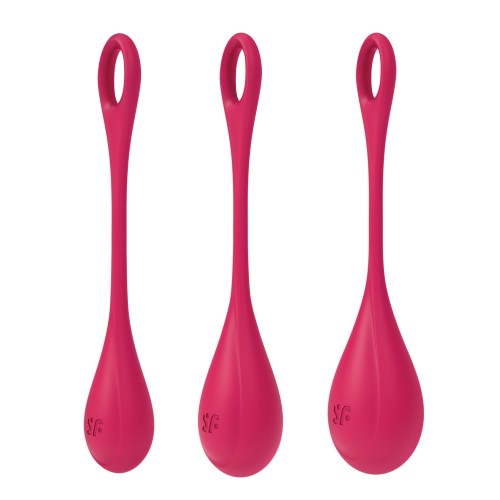 Satisfyer Yoni Power 1 Balls Training Set