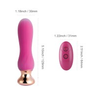 Plug Anal Vibrante Curvado Remoto Pink Holic