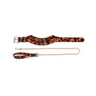 Amber Collar and Leash Set