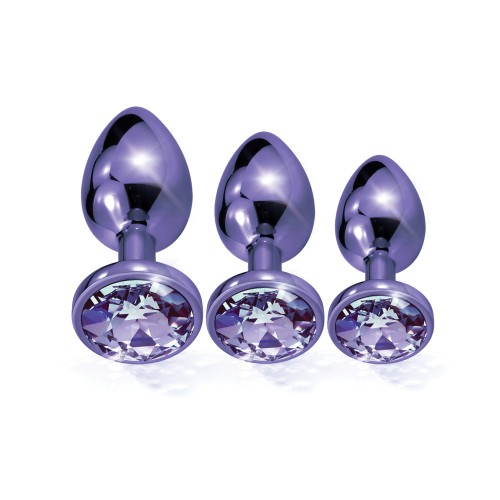 Nixie Metal Butt Plug Trainer Set Purple