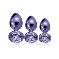 Nixie Metal Butt Plug Trainer Set Purple