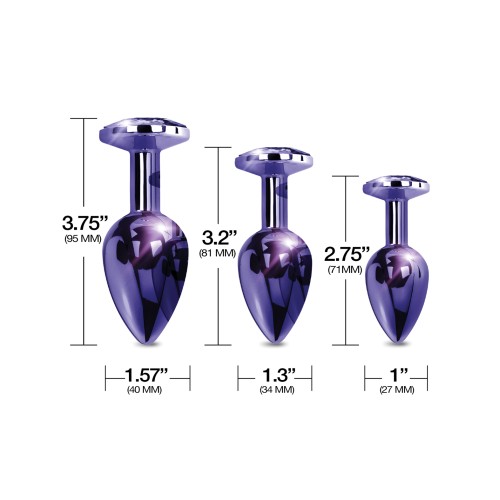 Nixie Metal Butt Plug Trainer Set Purple