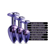 Nixie Metal Butt Plug Trainer Set Purple