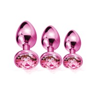 Nixie Pink Jewel Butt Plug Trainer Kit