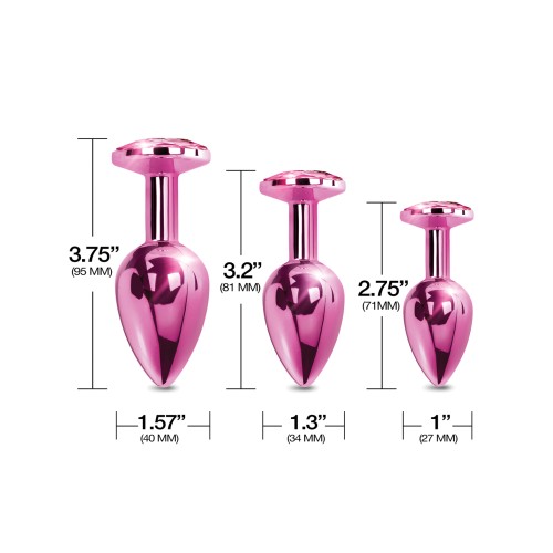 Nixie Pink Jewel Butt Plug Trainer Kit