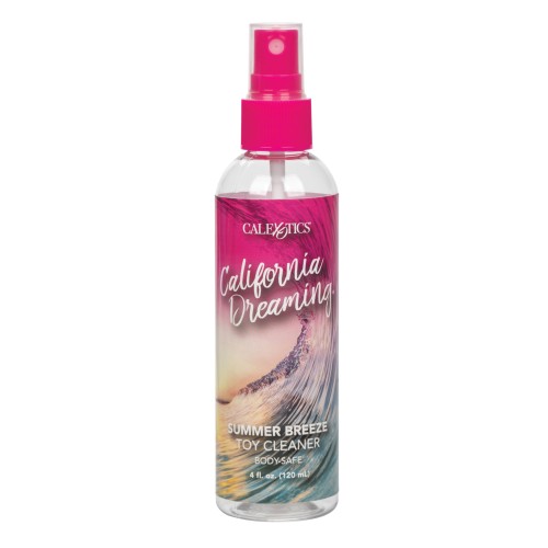 Limpiador de Juguetes California Dreaming Verano Tropical - Fragancia Tropical