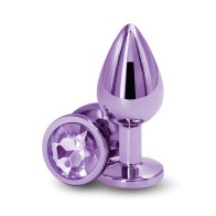 Purple Rear Assets Medium Anal Toy