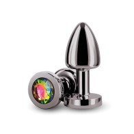 Rear Assets Chrome Anal Toys