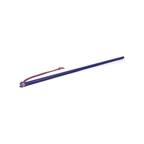 Spartacus 24" Leather Wrapped Cane Purple