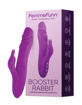 Rechargeable Rabbits for Ultimate Pleasure