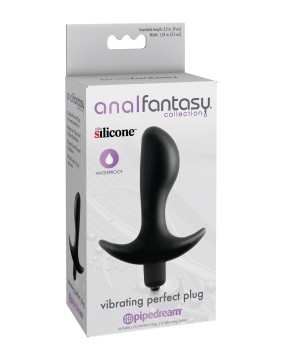 Plug Anal Vibrador