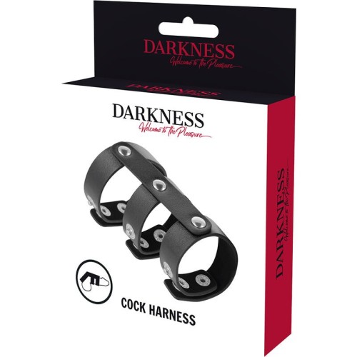 Darkness Adjustable Double Ring for Penis and Testicles