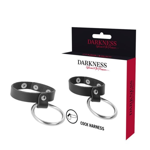 Darkness Men's Metal Ring for Penis and Testicles