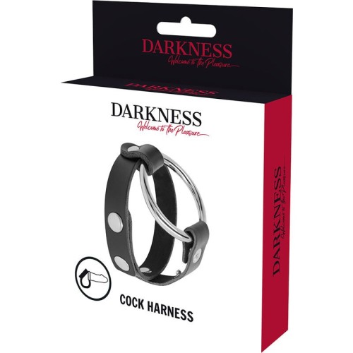 Darkness - Anillo Para Pene Y Testículos Bondage