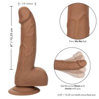 Silicone Studs 15.24 Cm Brown