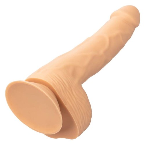 Calexotics Silicone Studs 8 Inch - Realistic and Firm