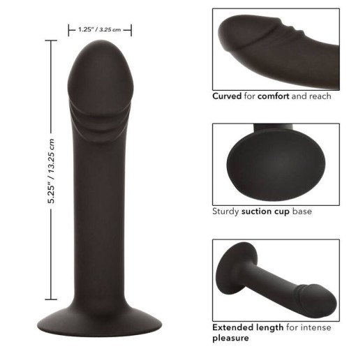 Curved Anal Stud - Experiencia de Placer Definitivo