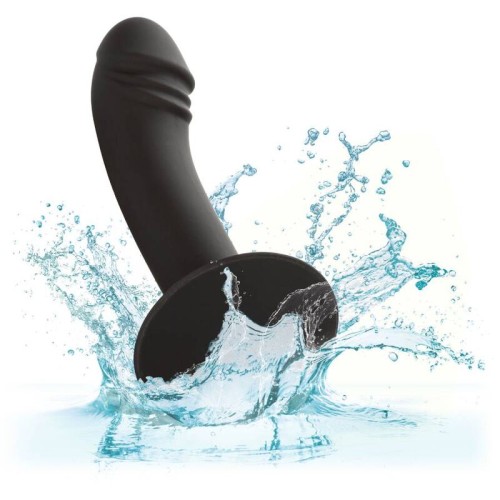 Curved Anal Stud - Experiencia de Placer Definitivo