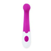 Pretty Love Flirtation Charles Vibrator