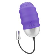 Mr Boss Denis Remote Control Egg - Elegant Vibrator