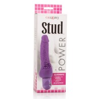 Power Stud Cliterrific Vibrator Purple - Ultimate Pleasure