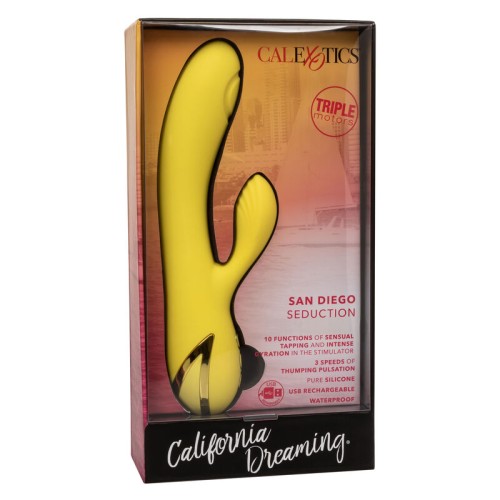 California Dreaming San Diego Seduction Vibrator