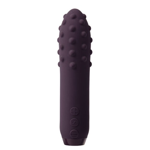 Duet Purple Bullet Vibrator