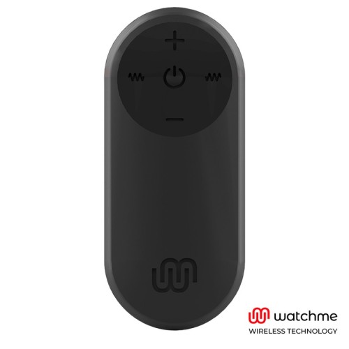 Mando Universal Control Remoto Negro