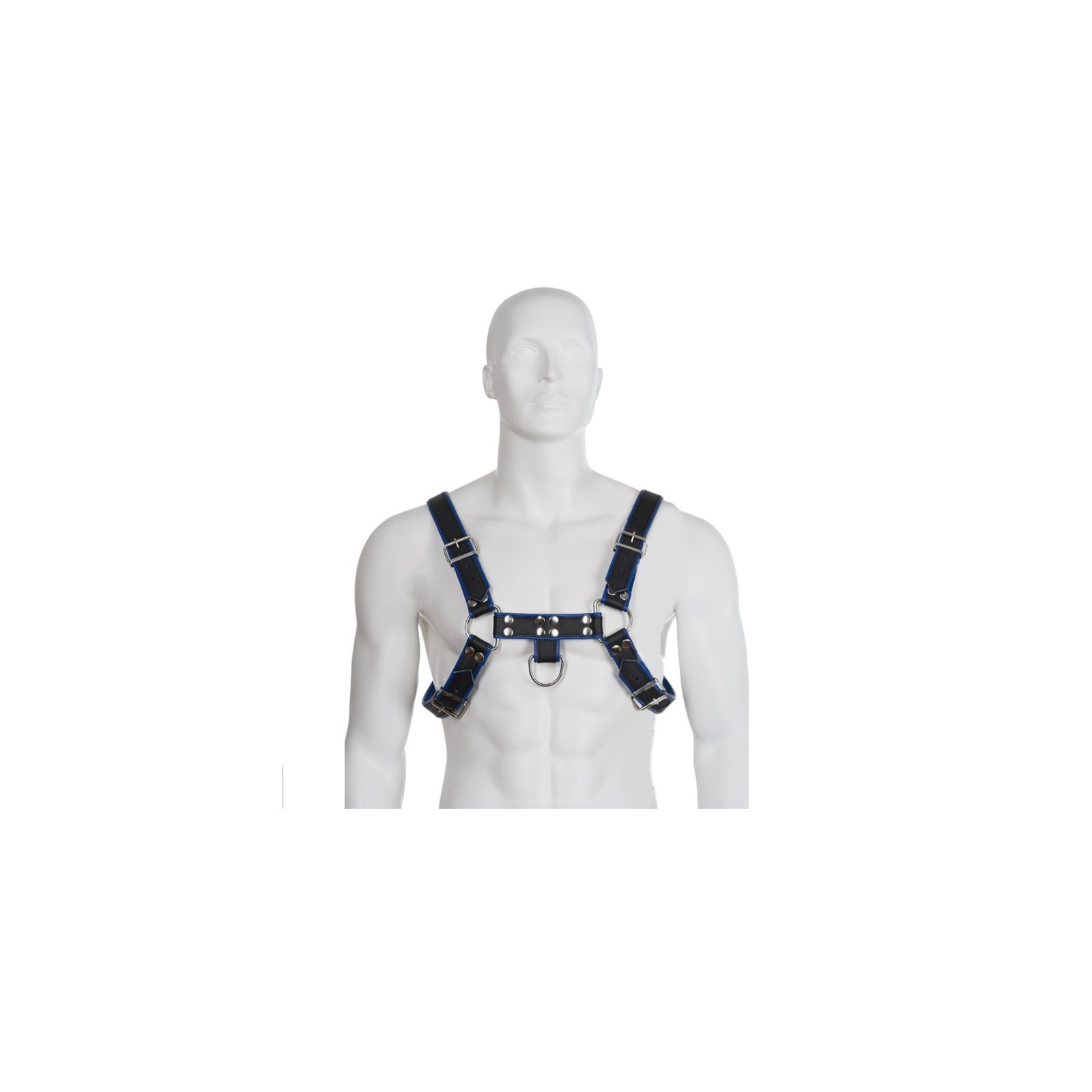 Blue and Black Leather Chest Harness Bulldog