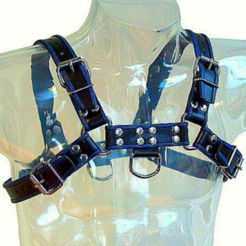 Blue and Black Leather Chest Harness Bulldog