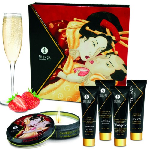 Shunga Secret Geisha Strawberry Cava Kit