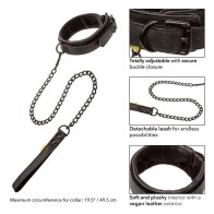 Boundless Collar with Leash