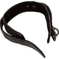 Boundless Collar with Leash