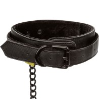 Boundless Collar with Leash