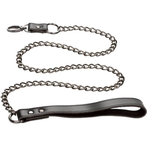 Euphoria Chain Collar with Leash