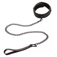 Nocturnal Adjustable Leather Collar and Leash