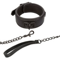 Nocturnal Adjustable Leather Collar and Leash