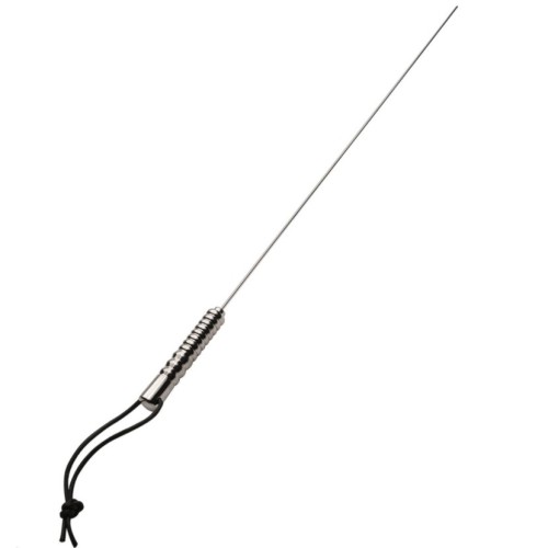 Stainless Steel BDSM Rod