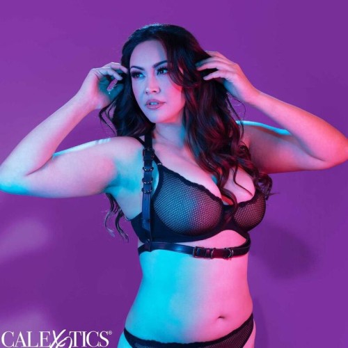 Euphoria Plus Size Halter Harness with Buckle